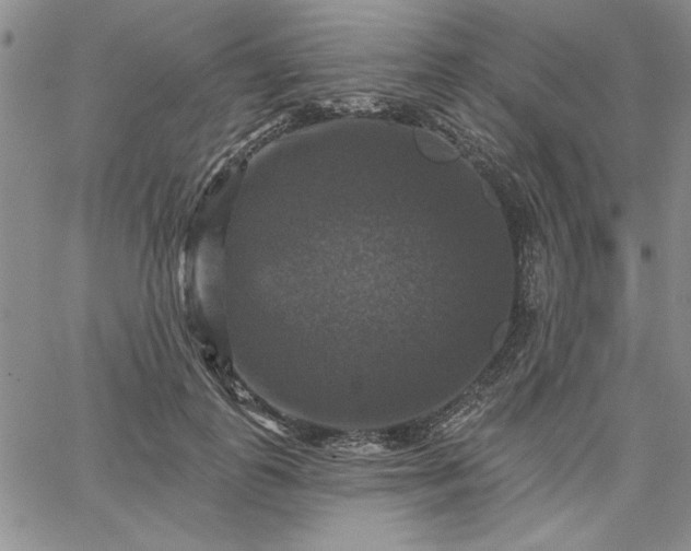 X0000067880747200604201243