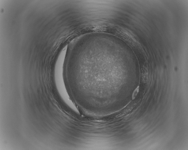 X0000067880748200604201243