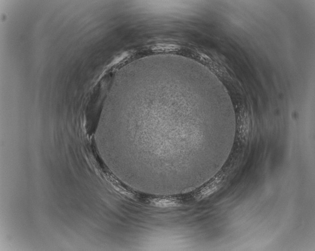 X0000067880755200604201243