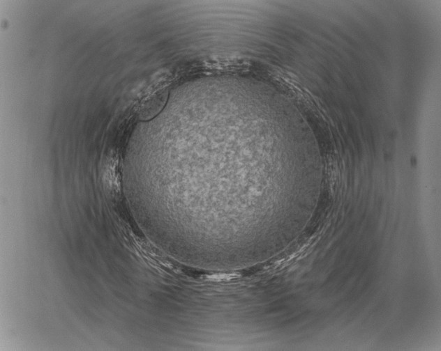 X0000067880770200604201242