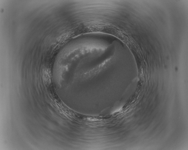 X0000067880772200604201242