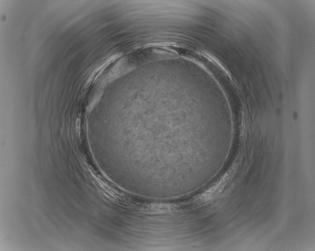 X0000067880777200604201242