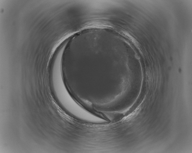 X0000067880779200604201242