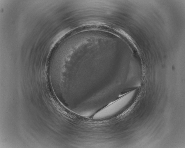 X0000067880783200604201242