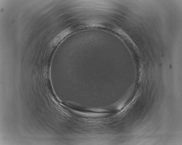 X0000067880785200604201242