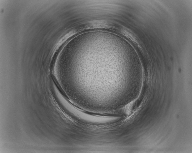 X0000067880786200604201242