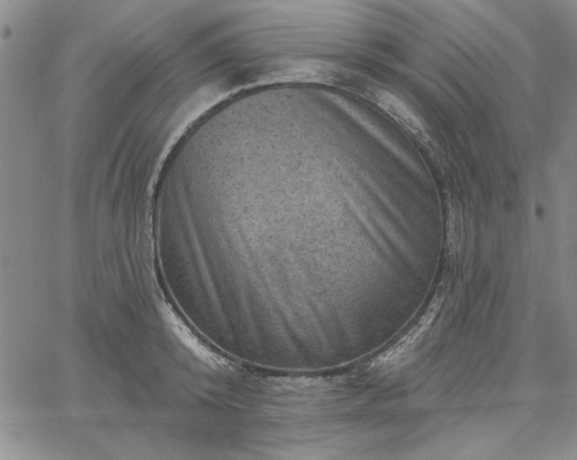 X0000067880800200604201242