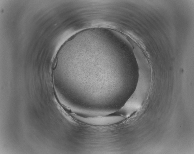 X0000067880816200604201242