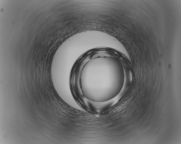 X0000067880818200604201241