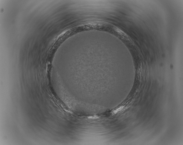 X0000067880822200604201241