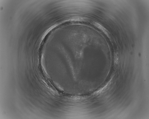 X0000067880829200604201241
