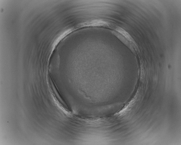 X0000067880850200604201241