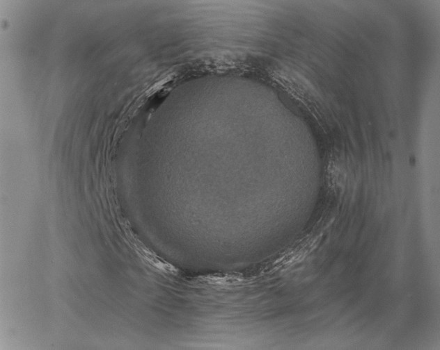 X0000067880865200604201241