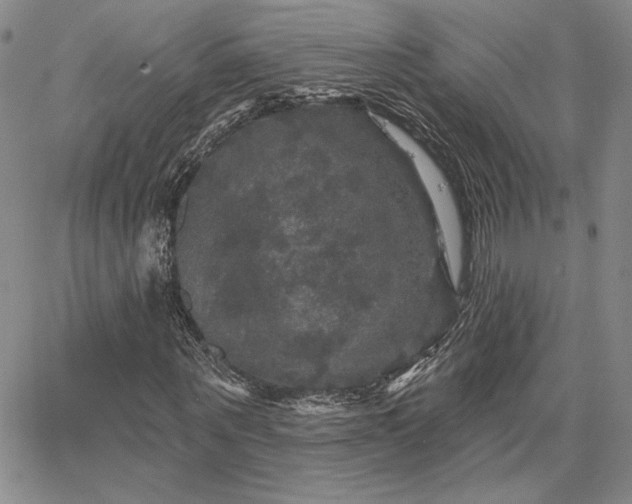 X0000067880867200604201241