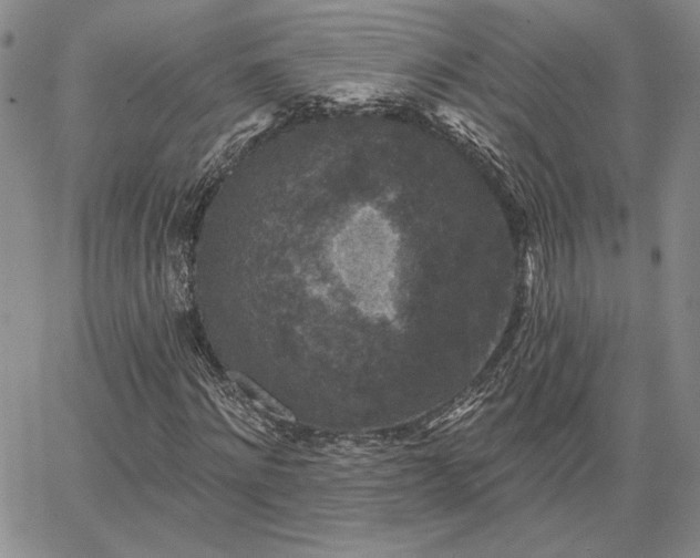 X0000067880868200604201241