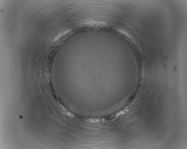 X0000067880869200604201241