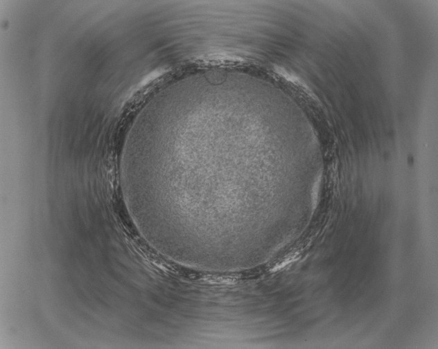 X0000067880870200604201241