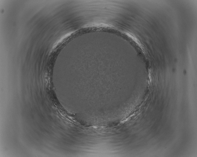 X0000067880872200604201241