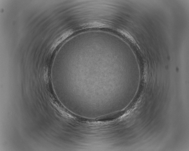X0000067880873200604201241