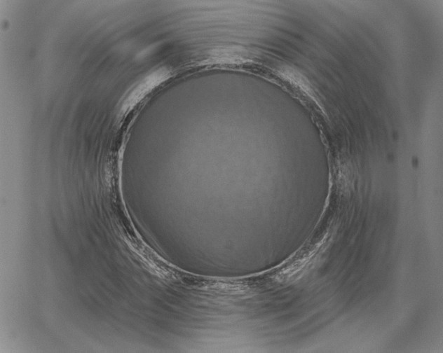 X0000067880874200604201241