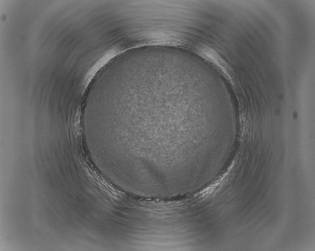 X0000067880875200604201241