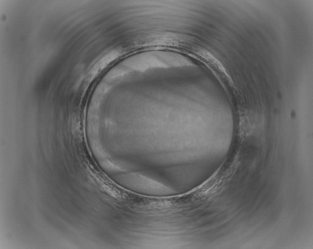 X0000067880882200604201240