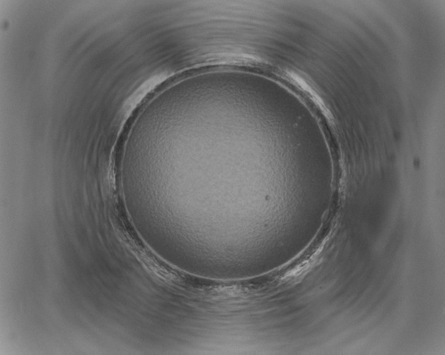 X0000067880883200604201240