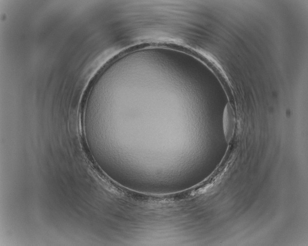 X0000067880887200604201240