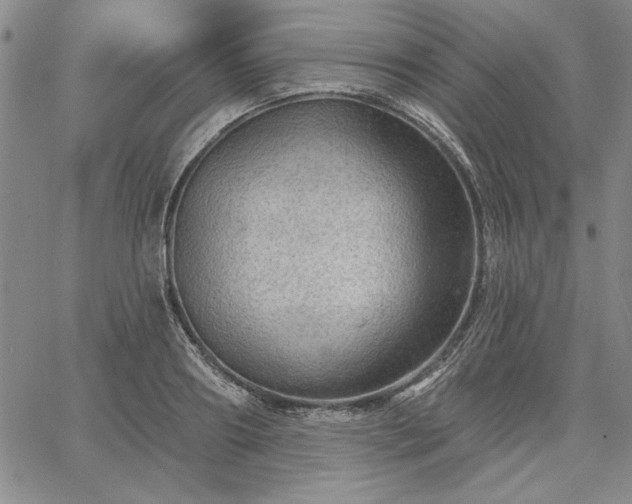 X0000067880890200604201240