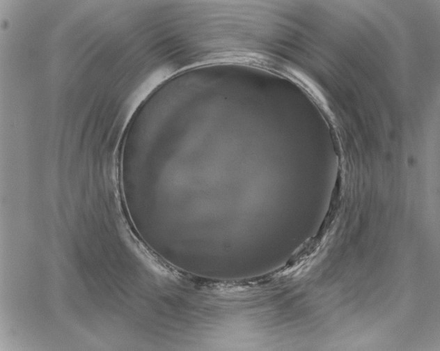 X0000067880907200604201240