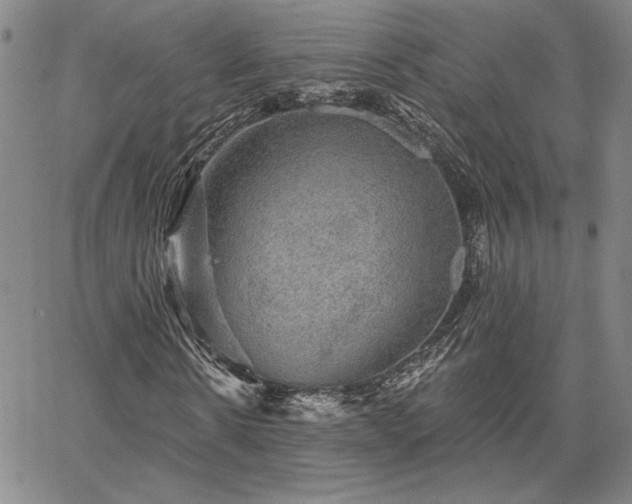 X0000067880914200604201239
