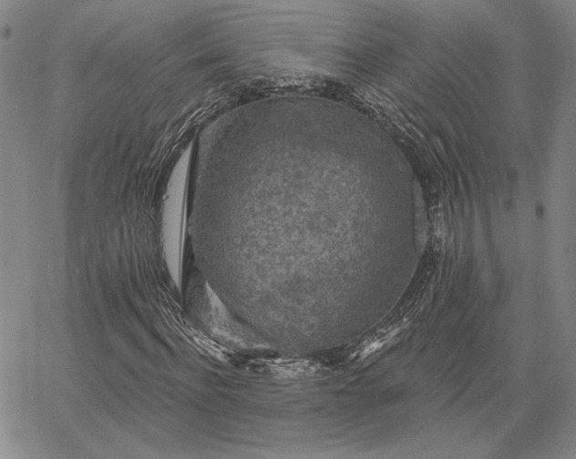 X0000067880916200604201239