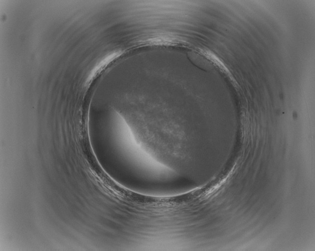 X0000067880930200604201239