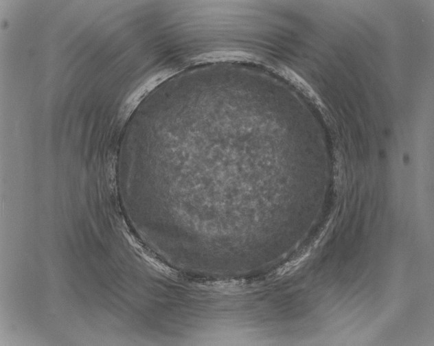 X0000067880937200604201240