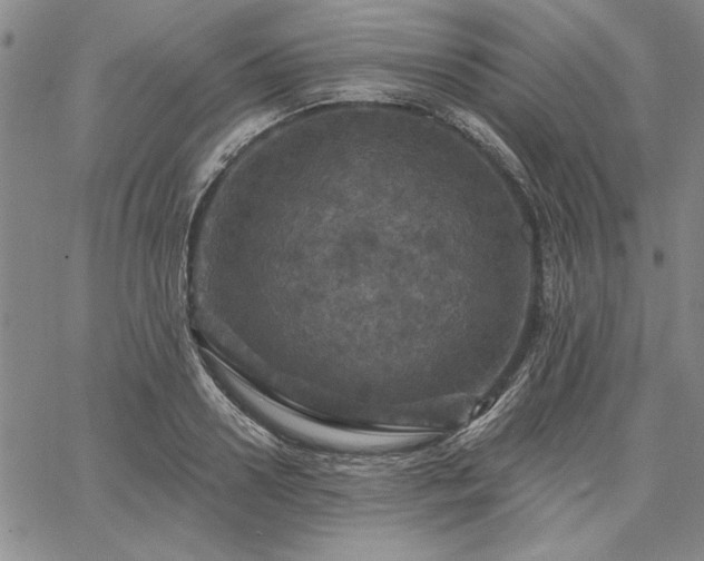 X0000067880938200604201240