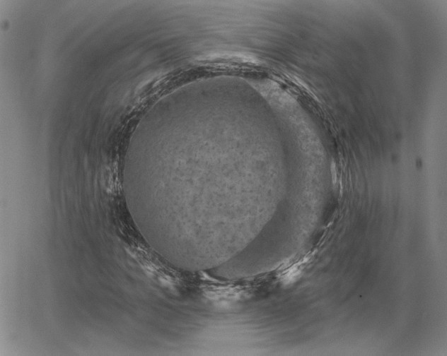 X0000067880965200604201239