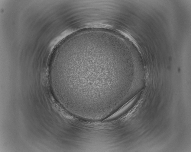 X0000067880971200604201239