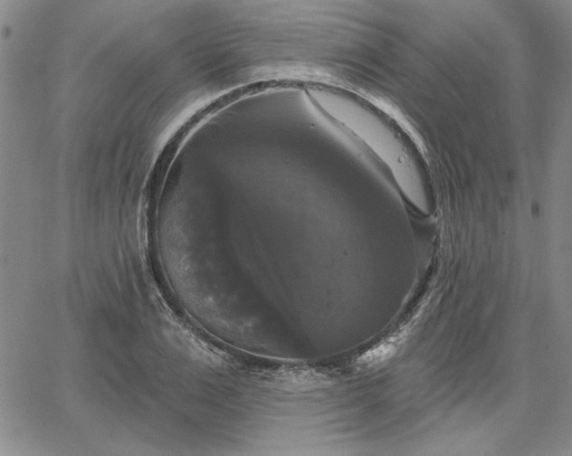X0000067880983200604201239