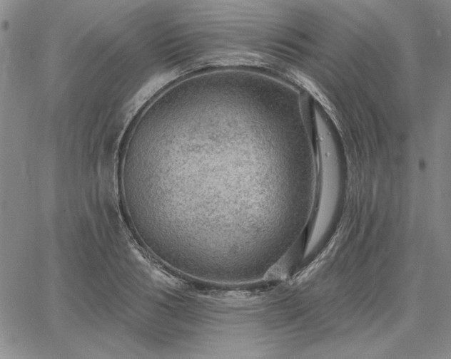 X0000067880986200604201239
