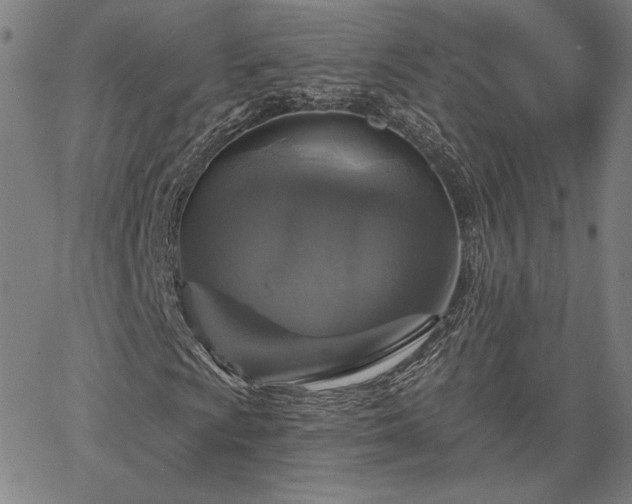 X0000067881009200604201238