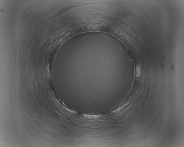 X0000067881011200604201238