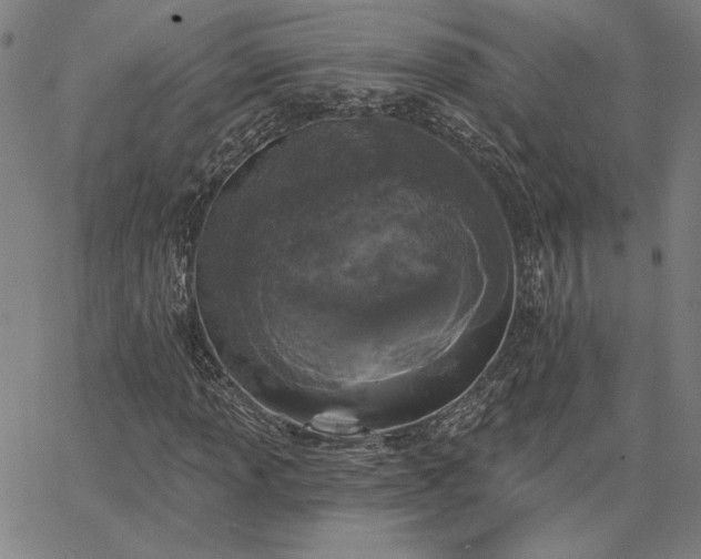 X0000067881013200604201238