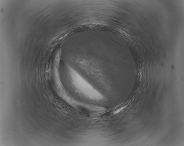 X0000067881014200604201238