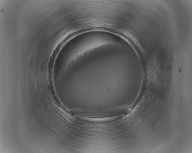 X0000067881023200604201238