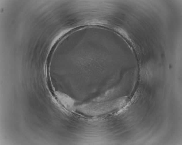 X0000067881032200604201238