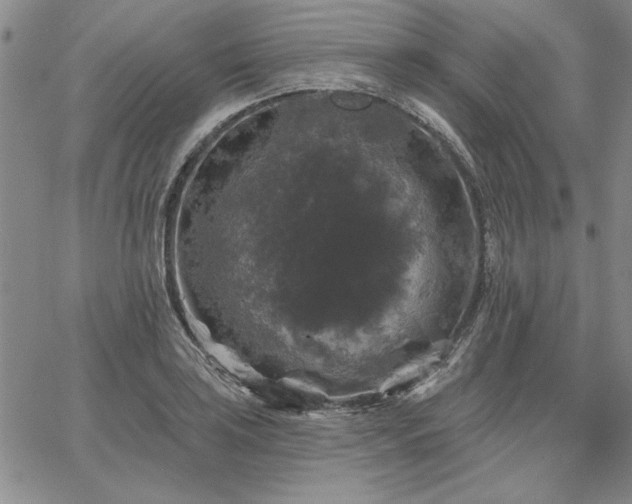 X0000067881035200604201238