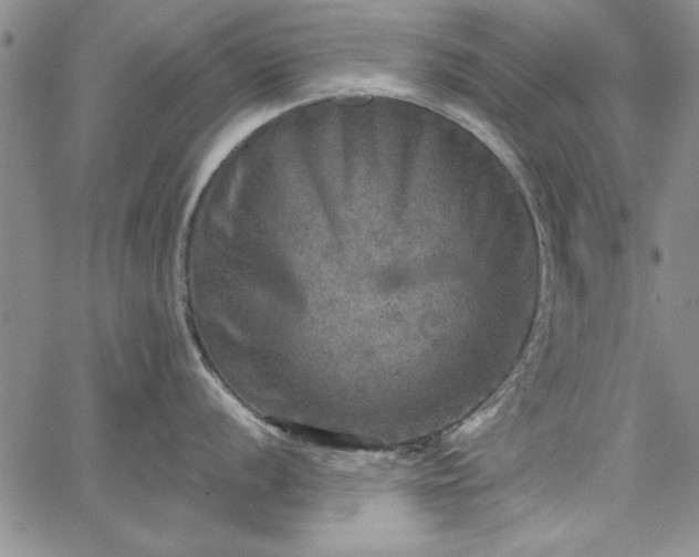 X0000067881056200604201238