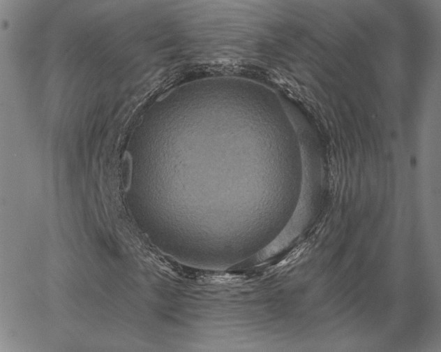 X0000067881057200604201238