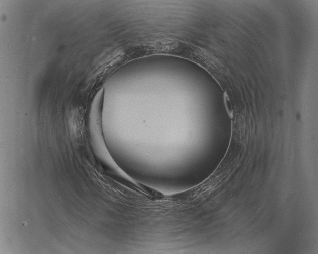 X0000067881058200604201238