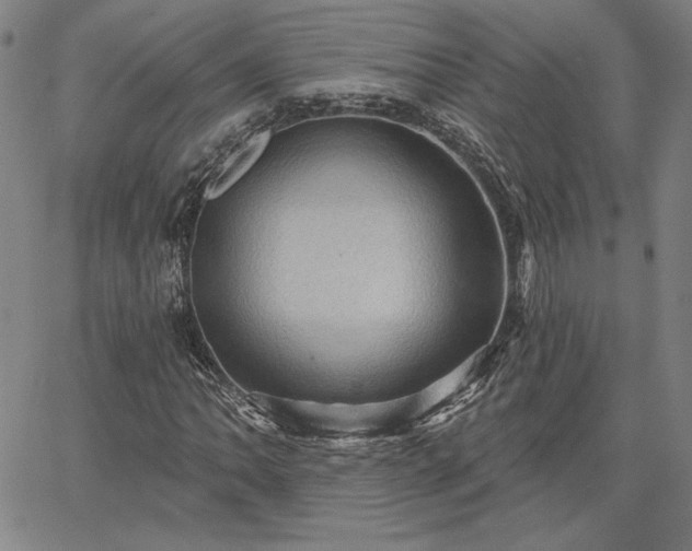 X0000067881062200604201237